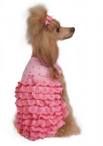 Rochita Dorotea - S-M - Roz