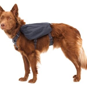 Rucsac caini Front Range Day Pack Ruffwear, gri, cu 5 puncte de ajustare, elemente reflectorizante, marime M