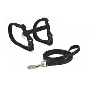 Set lesa si ham Nayeco - Pisica - Negru