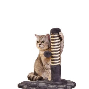 Sisal Clive CAT2392