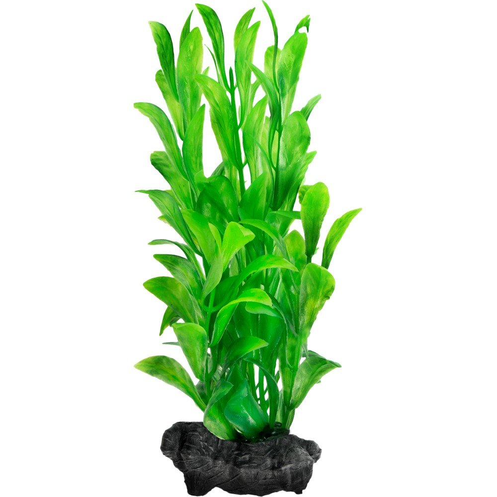 TETRA PLANTA DECOART HYGROPHYLA M 15 CM