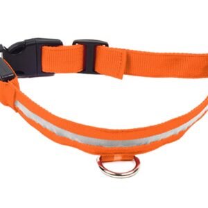 Zgarda caini cu LED-uri, portocalie, impermeabila, 34-42 cm