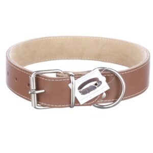 Zgarda din piele, maro, 4 cm x 65 cm, pentru caini de talie medie spre mare