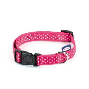 Zgarda caini, roz, personalizata cu buline, 20-31 cm x 10 mm