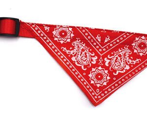 Zgarda nylon cu bandana, rosie, reglabila, 35-50 cm x 1.9 cm