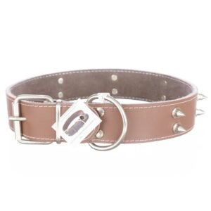 Zgarda din piele, maro, cu 2 randuri de colti metalici, 4 cm x 65 cm