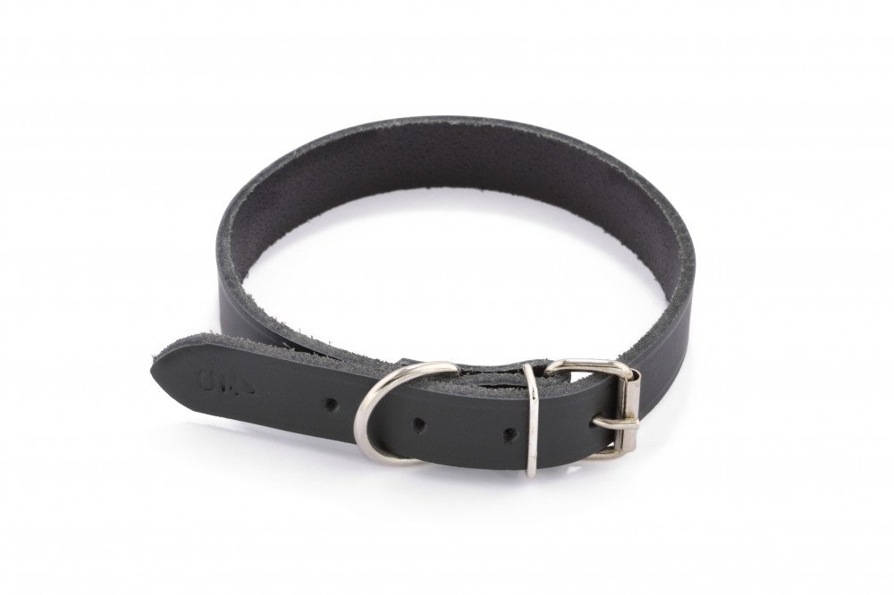 Zgarda piele DogTech - 40mmx75cm