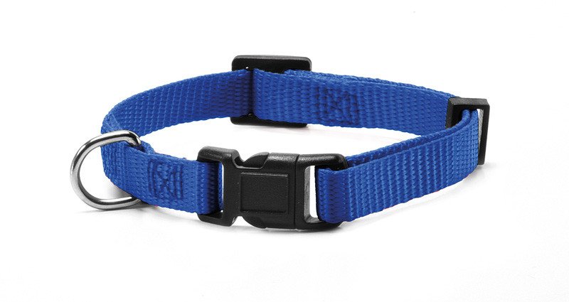 Zgarda reglabila pentru caini de talie mica, albastra, din nylon, 20-30 cm x 1 cm